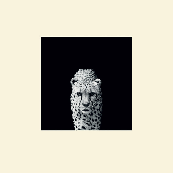 Nicolas Evariste - Print, 30cm H x 30cm W, Without frame, Yellow