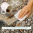 Machine Washable Indoor/Outdoor Chantille ACN2525 Traditional Rug-1927053485-1927053473