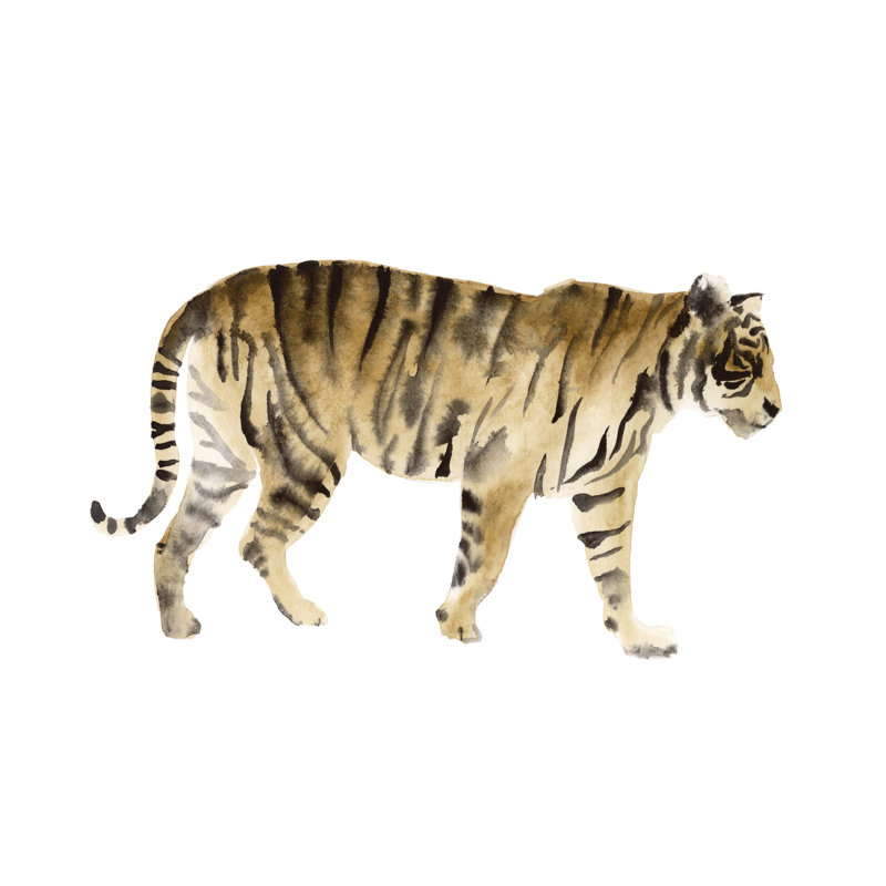 Tigre aquarelle IV, H 24 po x l 36 po x P 1,25 po