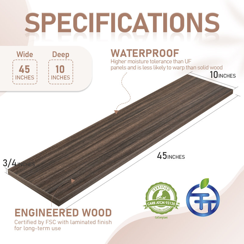 45 po Cipolla pour mur, P 10 po x l 45 po, ensemble de 2, eucalyptus, Eucalyptus, H 0,75 po x l 45 po x P 0,75 po