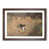 Walnut Framed