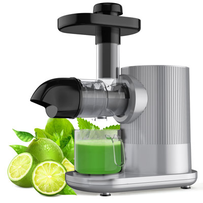 Costway Electric Slow Masticating & Cold Press Juicer