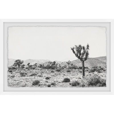 Joshua Tree by Ann Barnes - Single Picture Frame Print
