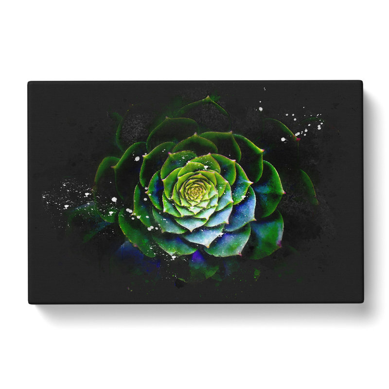Dark Green Succulent Plant - Wrapped Canvas Print, 60cm H x 91cm W x 3cm D