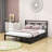 Metal Platform Bed with 2 Drawers-1514307475