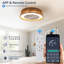 Ventilateur de plafond tressé 21 po Bohemian