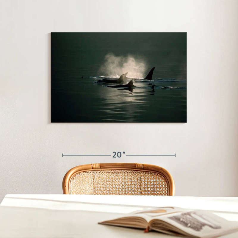Brampt Orca Whale Pod, 16" H x 24" W