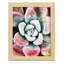 Pastel Succulent Beauty V, reproduction d'art sur papier-638222780-638222773