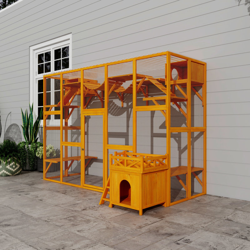 Maison d'extérieur pour chat avec boîtes de repos