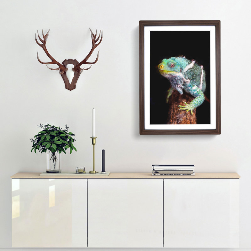 Fiji Iguana - Picture Frame Painting Print, 33cm H x 24cm W x 2cm D, Walnut Framed