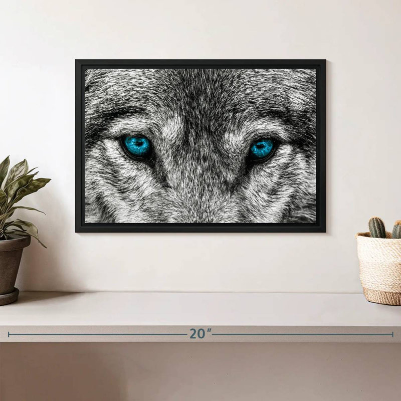 Cool Wolf, 13" X 9", Floating Frame Black