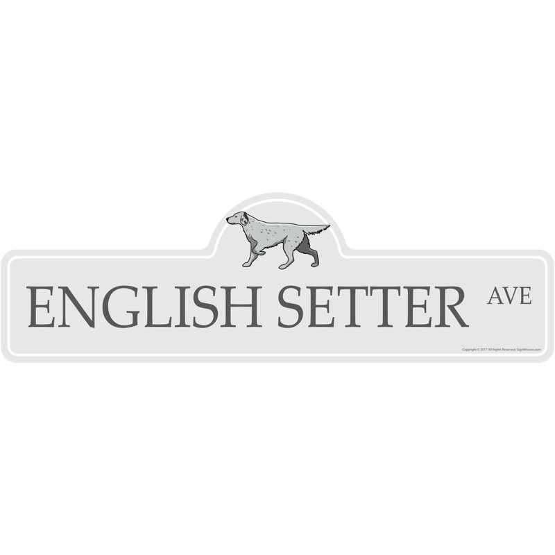 Plaque de rue anglaise en plastique robuste 8 po x 24 po