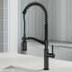 Sellette Pull Down Single Handle Kitchen Faucet