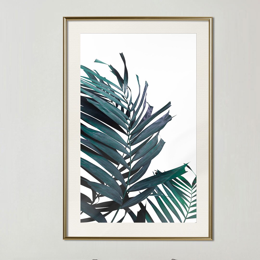 Gerahmtes Poster Evergreen Palm Leaves