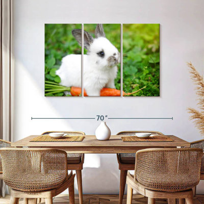 Brampt Bunny Eating Carrot