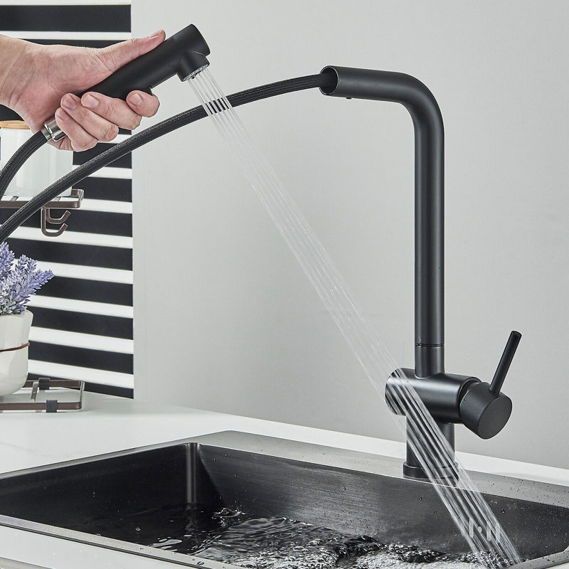 Belfry Kitchen Raposo Pull Out Kitchen Faucet