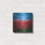 «Red Poppy Field» par Lena Owens-1655528551