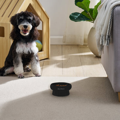 Sam's Pets Short Tulip 2.0 Pet Bowl In Glossy