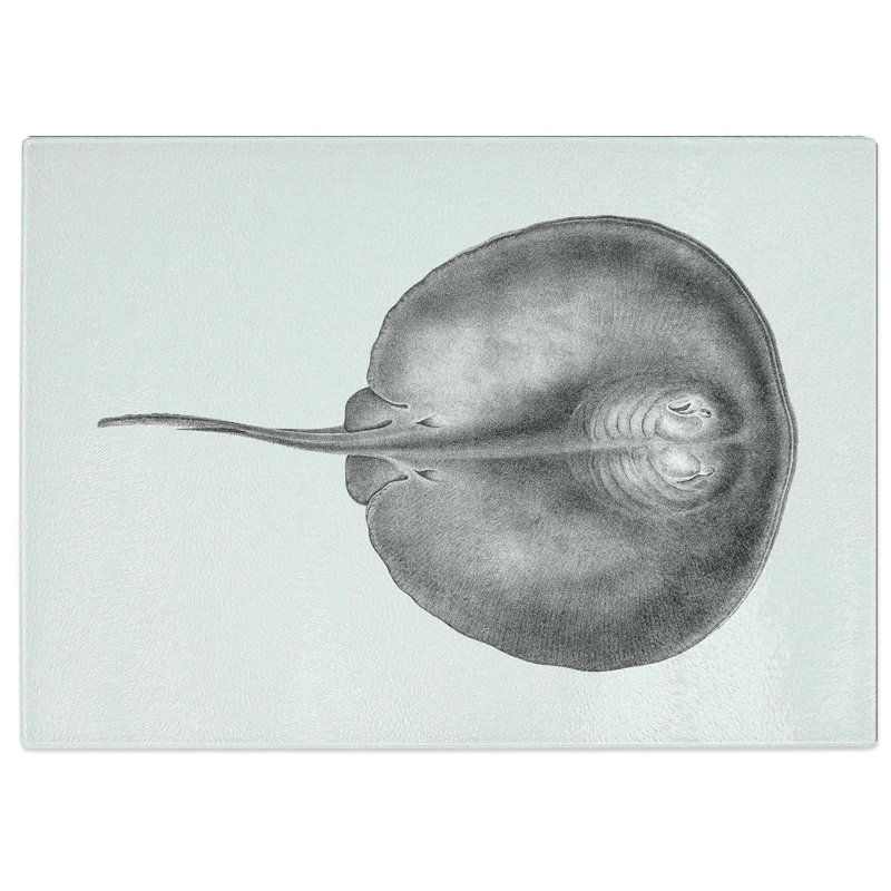 Tempered Glass Stingray Illustration Chopping Board, 28.5 cm W x 20 cm L