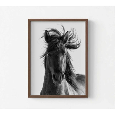 Horse Portrait Fine Art Print, Majestic Equine Wall Decor (Framed or Unframed)