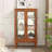 Elegant 2-Door Curio Cabinet With Tempered Glass Doors, Mirrored Back Panel, And Adjustable Shelves - Lighted Display Cabinet For Home And Office (Light Bulb Included)-2064067373