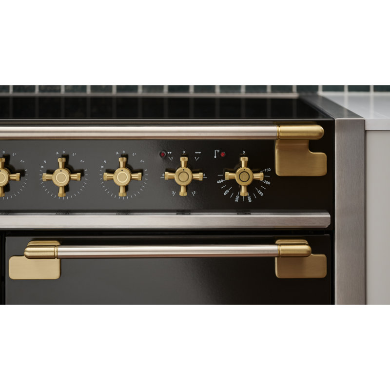 Elise 48" Range, Induction, Matte Black;Antique Brass