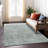 Machine Washable Indoor/Outdoor Xhevrie Aqua Rug-480936049