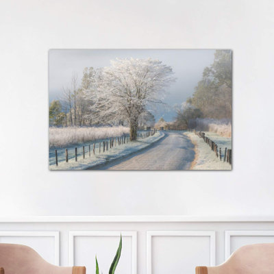 A Frosty Morning 1 Piece Wrapped Canvas Wall Art