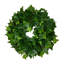 Faux Ivy Plant-855589349