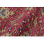 One-of-a-Kind 5'5x8'6 Hand Knotted Area Rug