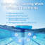 Ioniseur de piscine Winado Blue