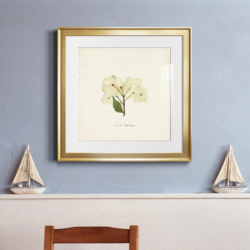 Cornales Hydrangea I-Premium, reproduction encadrée - prête à être accrochée, Cadre doré, H 30,5 po x l 30,5 po x P 1,5 po