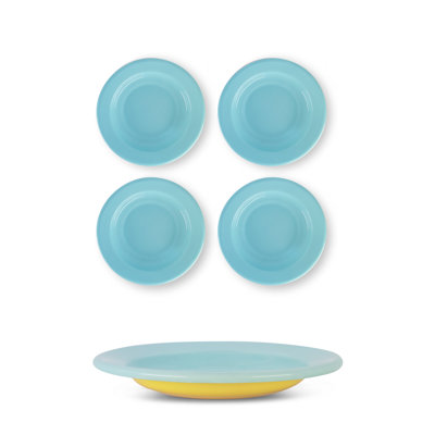 S/4 Enamel Dinner Bowl - Two Tone