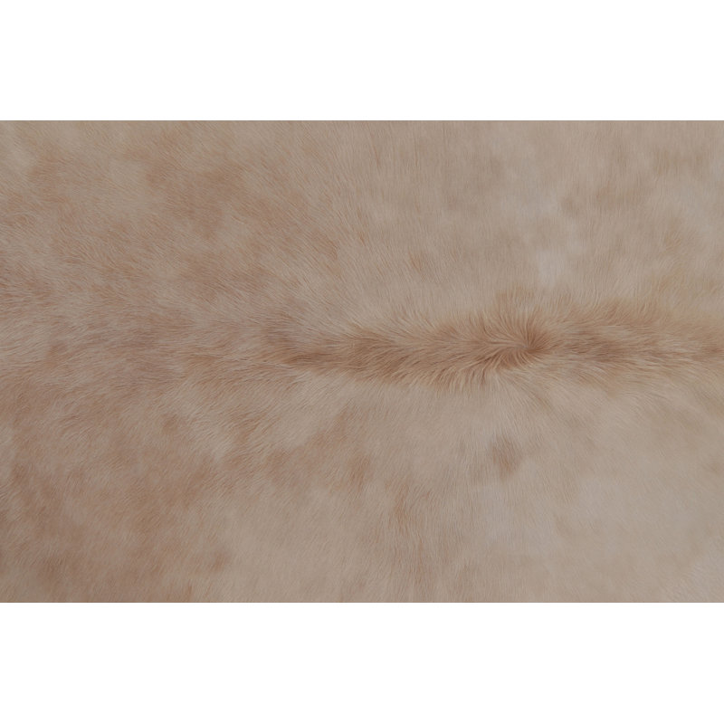 Modern Classics Hand Woven Area Rug