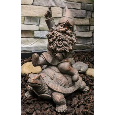 Mr Gnome assis sur une tortue géante de rodéo sauvage