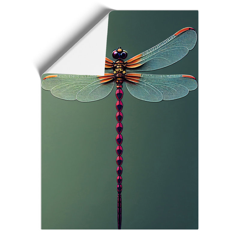 Perfect Dragonfly - Print, 29.7cm H x 21cm W, Paper, No Matte