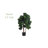 42 " H Faux Fiddle Leaf Fig Tree in Plastic Planter