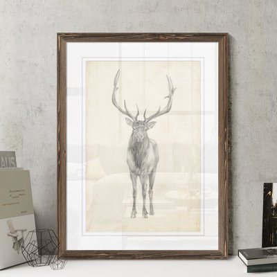 " 'Elk Study' " by Paul Cezanne