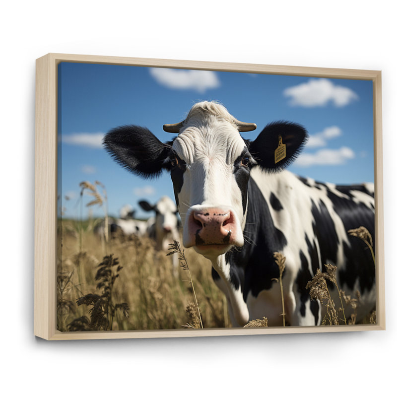 Cow Majestic II - Animals Canvas Prints, Cadre naturel flottant, H 34 po x l 44 po x P 1,5 po