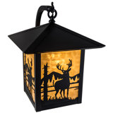 1 - Light Outdoor Wall Lantern
