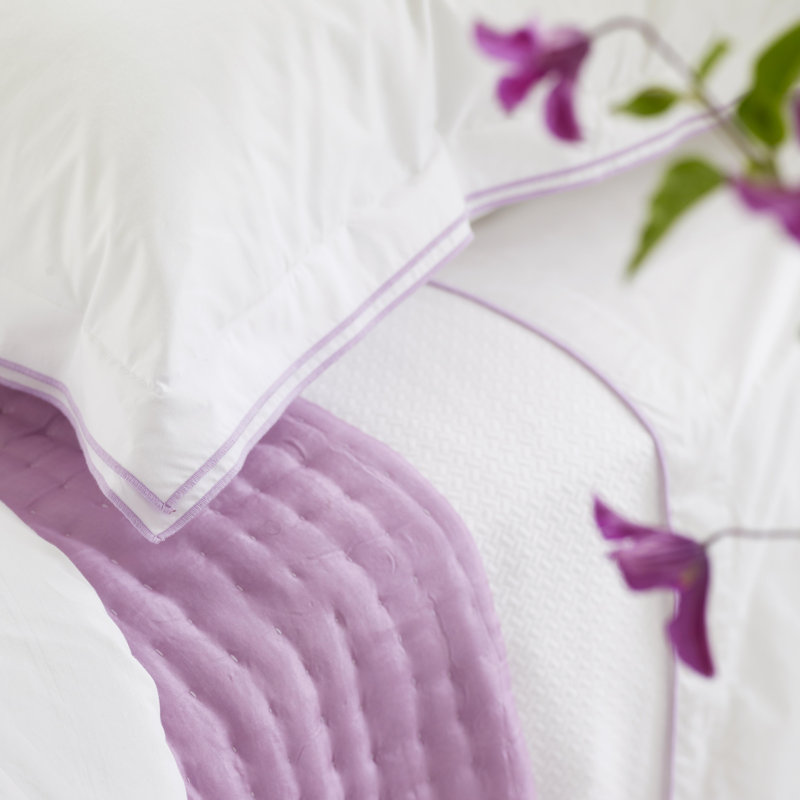 Astor Crocus Sham, European