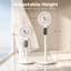 Air Circulator Fan-126252464