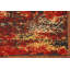 Tapis all-over 6 x 8