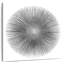 Avery Silver Sunburst I-109227220