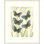 Mariposas 2 Print