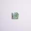 «Verdant Succulent II», peinture sur toile-1389311673-1389311653