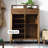 Modern classic storage shoe cabinet
