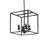 4 - Light Black Lantern Pendant