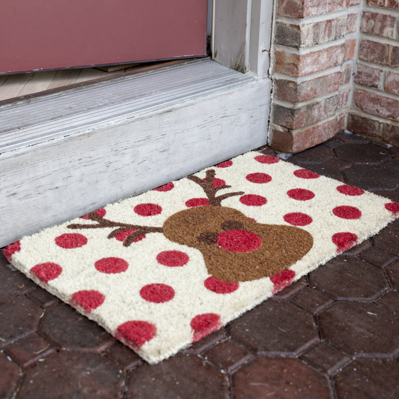 Tapis de porte d'extérieur 30 po x 18 po Rudolf