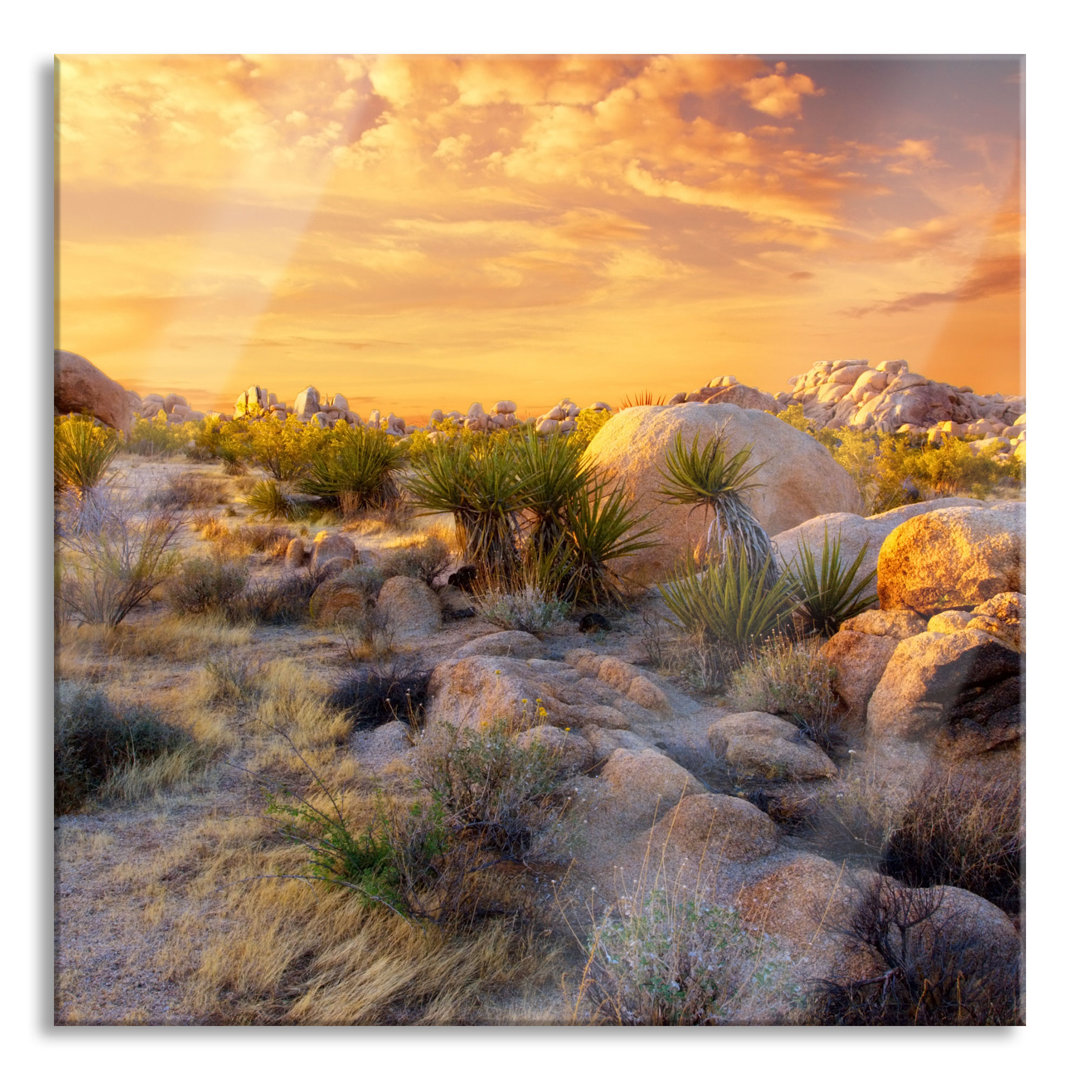 Ungerahmtes Foto auf Glas "Joshua Desert at Sunset"